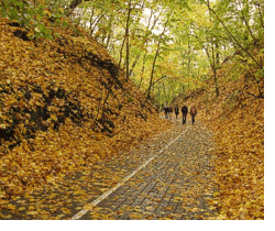 About Latvia: when and why to go there, useful tips and facts