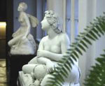 Museum of Foreign Art - More