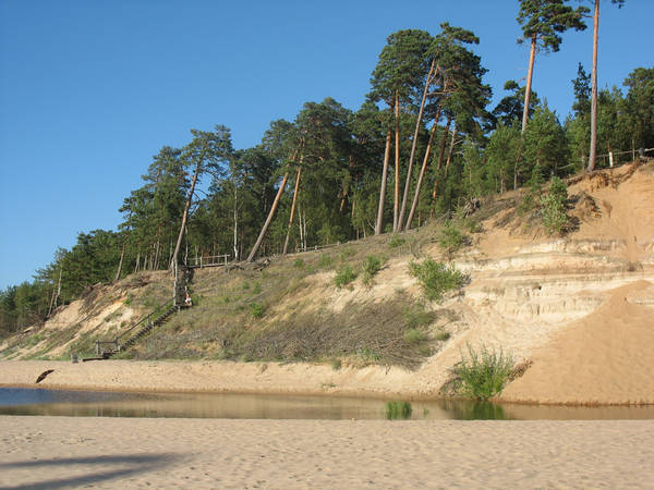 sal1 (13).jpg