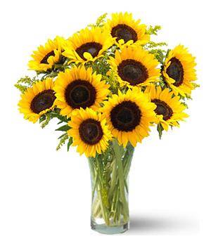 sunflowers_copy.jpg