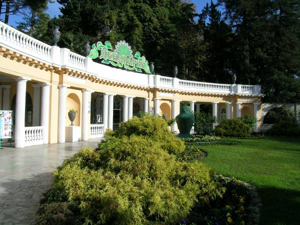 DSCN3966.jpg