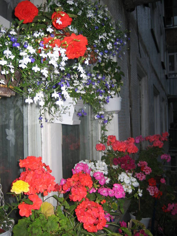 new Picture 062.jpg