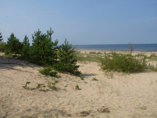 DSC02680.JPG