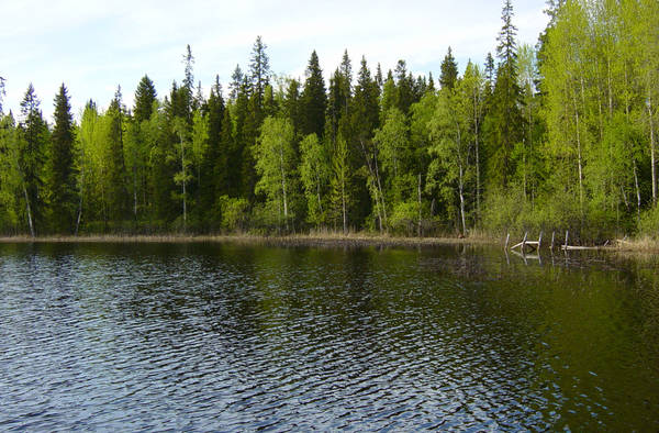 Srednee lake.JPG