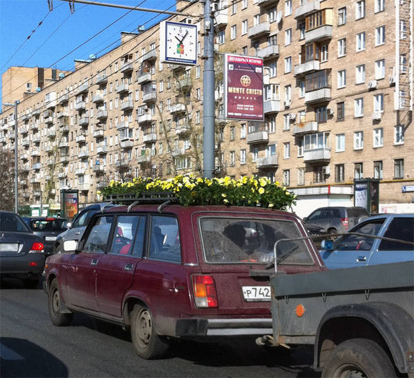 flowervaz.jpg